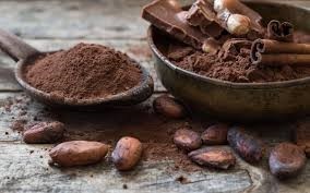beurre de cacao biologique